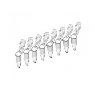 ?Eppendorf PCR Tubes